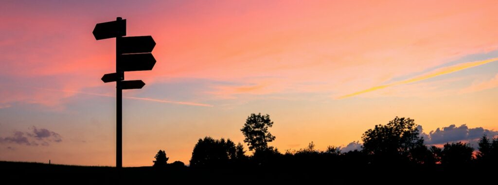 silhouette of trees during sunset